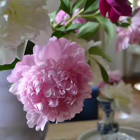 Akwarela I アパート クラクフ