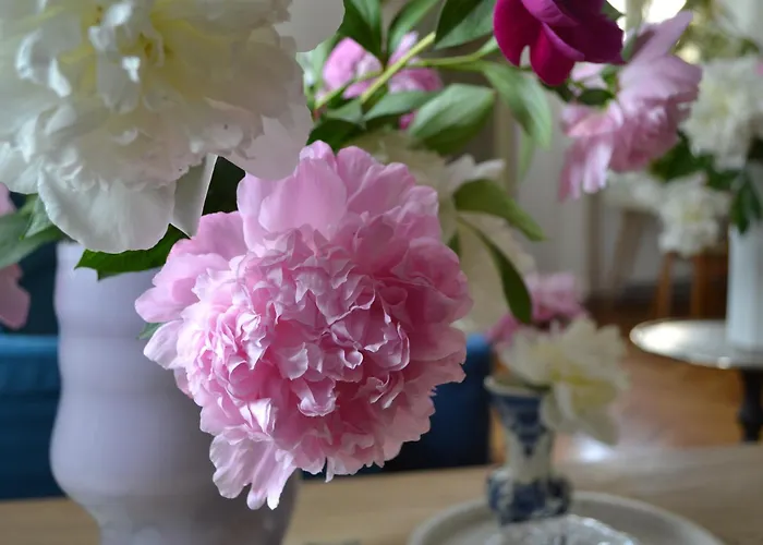 Akwarela I 公寓 克拉科夫